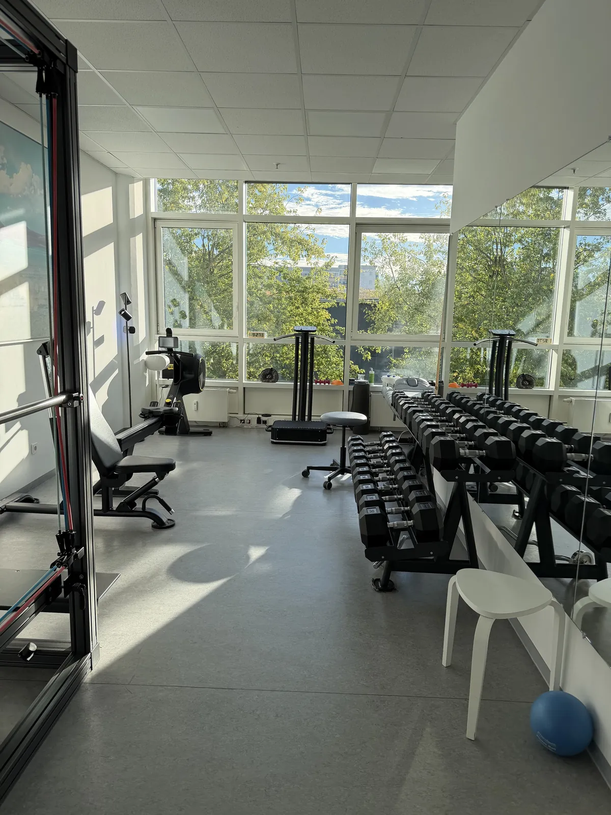Helle Trainingsfläche mit großer Fensterfront